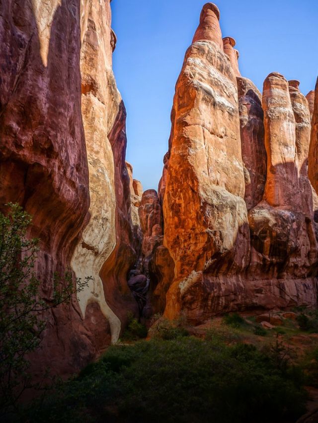 The Top 10 Things To Do in Arches National Park